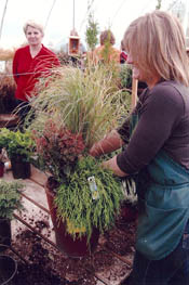 We help you plant